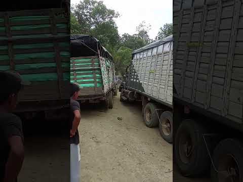 Valencia Córdoba - San Pedro De Urabá