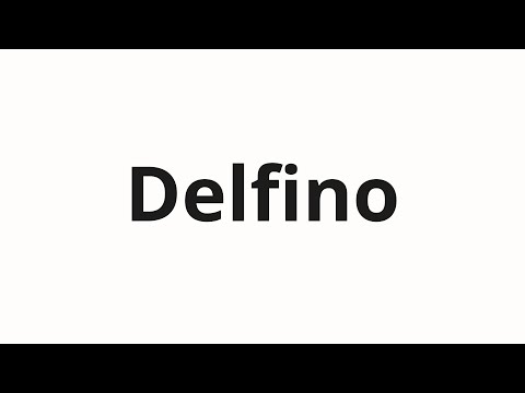 How to pronounce Delfino