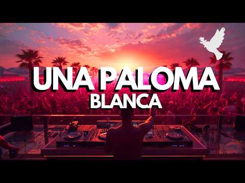 Una Paloma Blanca – Summer Afro House Remix 🌴🔥 | AFRO CODE