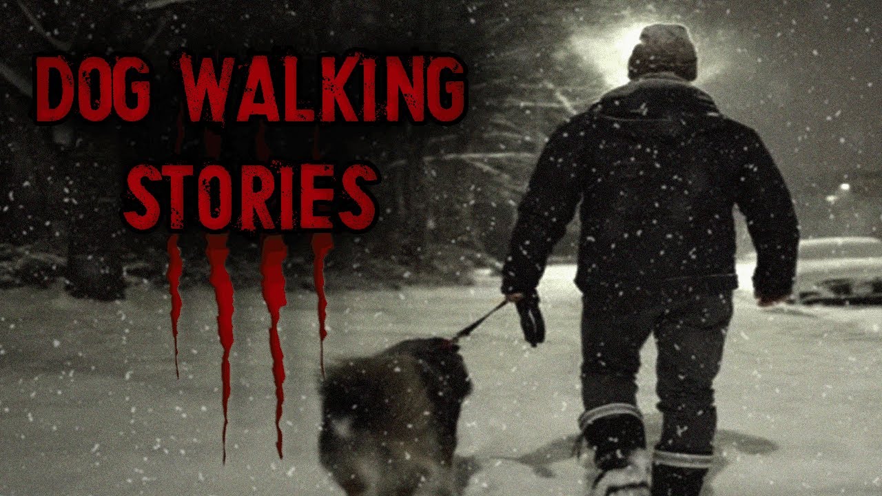 DOG SITTING ALMOST KILLED ME | 8 TERRIFYING Dog Walking Stories