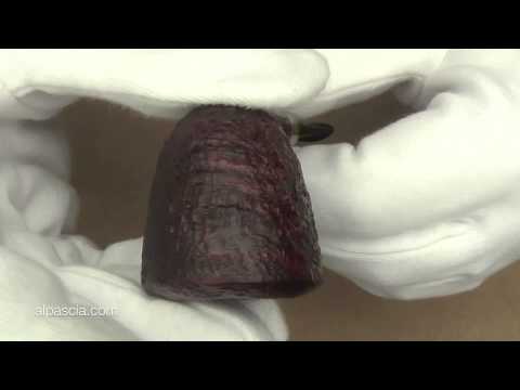 pipa Frank Axmacher - tobacco pipe 138