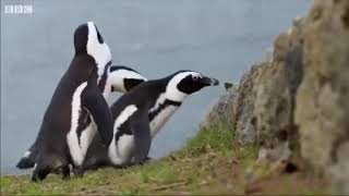 LA FIN JUSTIFIE-T-ELLE LES MOYENS ?