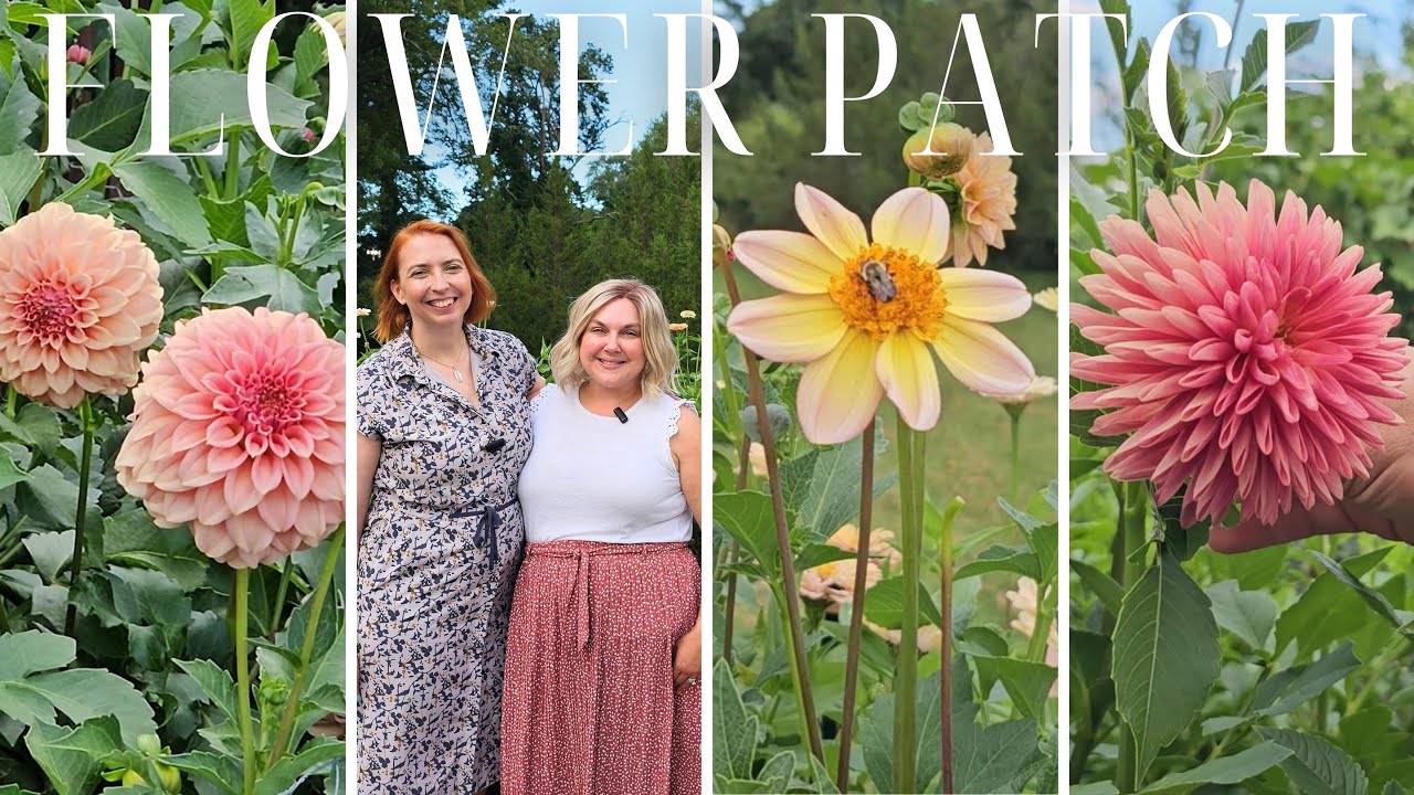 Charming Suburban Cut Flower Garden: 5 Floret Zinnias & Stunning Dahlias You’ll Love!