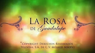 La Rosa de Guadalupe- Todos son Angeles [Parte 2]