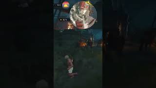 盗みダメ絶対【ウィッチャー３】