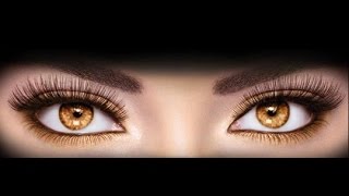 Jellyfish Stings Colorado Family Court