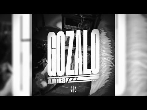 𝘼𝙧𝙞𝙞𝙨 - 𝙂𝙊𝙕𝘼𝙇𝙊 (𝙐𝙡𝙩𝙧𝙖 𝙎𝙡𝙤𝙬𝙚𝙙) [1 𝙃𝙊𝙐𝙍] | 𝙋𝙃𝙊𝙉𝙆 𝘽𝙍𝘼𝙎𝙄𝙇𝙀Ñ𝙊 2025 | фанк