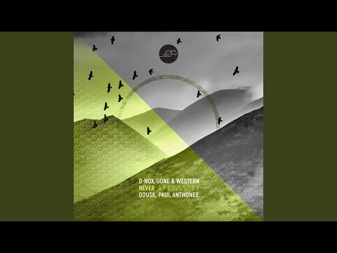 Never (Paul Anthonee Remix)