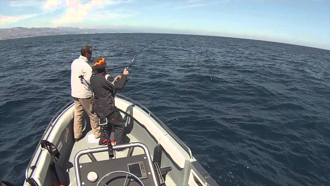 Cần câu BIG TUNA 710RT JAPAN Special