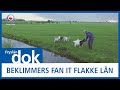 FRYSLÂN DOK: De Beklimmers fan it flakke lân: #2 Lânskip