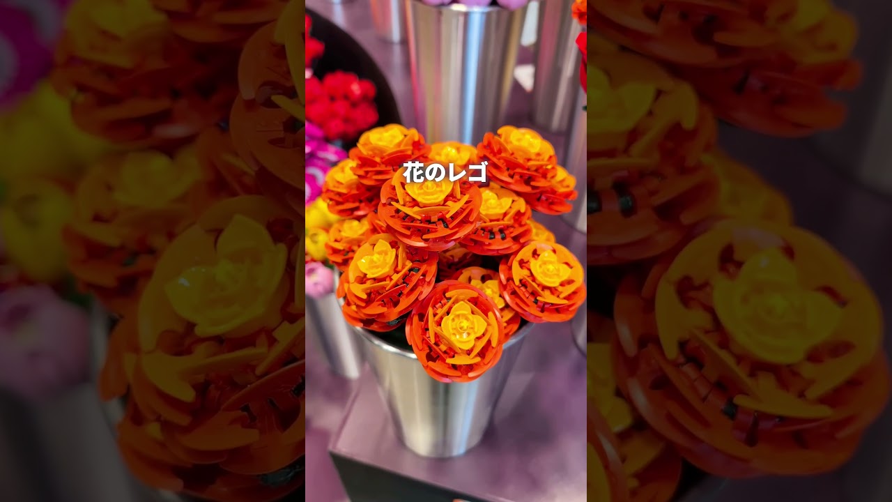 何回行っても飽きない聖水の最新をお届けします #韓国旅行