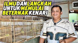 Download lagu TIPS‼️The RIGHT steps to start CANARY BREEDING... mp3 Download lagu TIPS‼️The RIGHT steps to start CANARY BREEDING... mp3