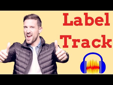 Better editing experience in Audacity with Label Track (2021)