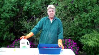 Dyeing Fabric - Overdyeing