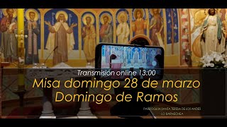 Misa domingo 28 de marzo, Domingo de ramos