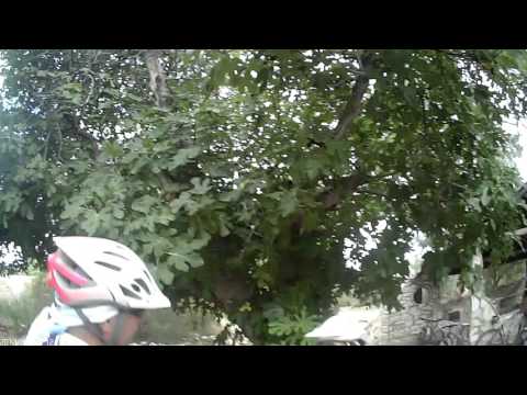 Richarddepredador - LSENCUENTRBIKE - 808 #16 V3