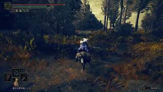 エルデンDLC12