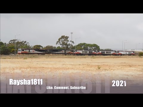 6MP9 - SCT002-SCT005-CSR008-CSR005-CSR009 (SCT) Adelaide S.A. - Australian Trains by Raysha1811