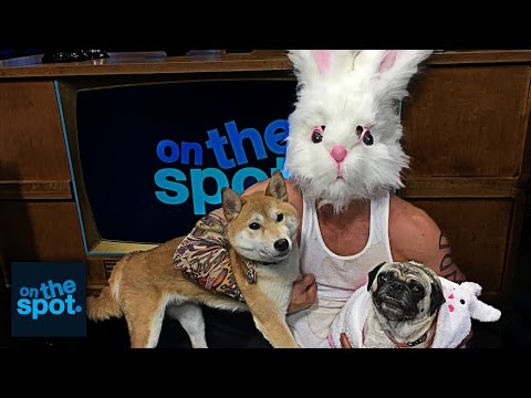 On The Spot: Ep. 92 - 2 DOGS, 1 RABBIT | Rooster Teeth