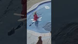 qW9a0zgYRKg/default.jpg