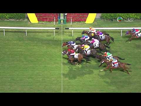2015/16 (104) - Choice Exchequer (大寶庫) - 郭能