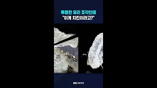투명한 유리 조각인데.."이게 치킨이라고?" #shorts