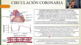 FISIOLOGÍA: FLUJO SANGUÍNEO MUSCULAR y GASTO CARDÍACO DURANTE EL EJERCICIO LA CIRCULACIÓN CORONARIA