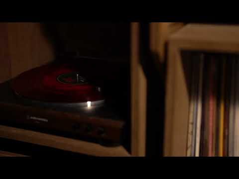 잔나비 1집  MONKEY HOTEL  LP