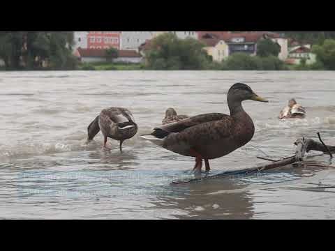 Nach Starkregen: Hochwasser in Niederbayern