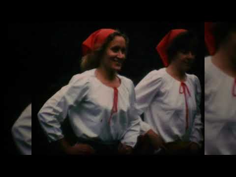 Eibergen Excelsior: Muziek en Dans 1977