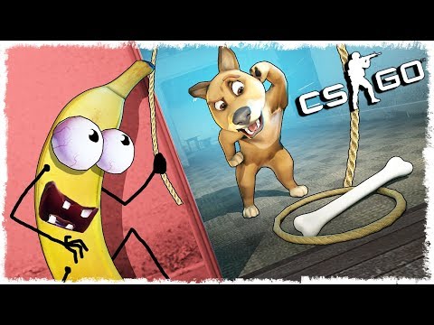 ТРОЛЛЬ БАНАН vs СОБАКА МАНЬЯК В CS:GO!!!