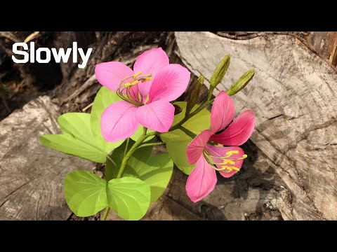 ABC TV | How To Make  Butterfly Tree Paper Flower (Slowly) - Craft Tutorial