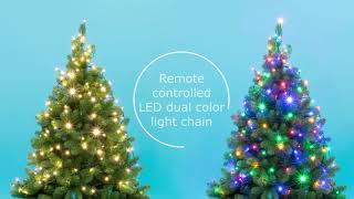Duálna vianočná reťaz 100LED teplé/farebné s časovačom + diaľkové ovládanie, 7m