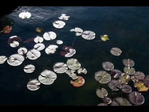 Olu Malehi sudo sudu ඕලූ මලේහී සුදෝ සුදෝ