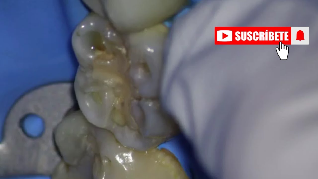 Cecilia Lopez Campa-14