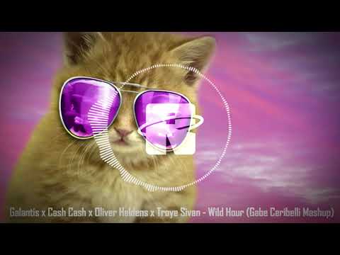 Galantis x Cash Cash x Oliver Heldens x Troye Sivan - Wild Hour (Gabe Ceribelli Mashup)