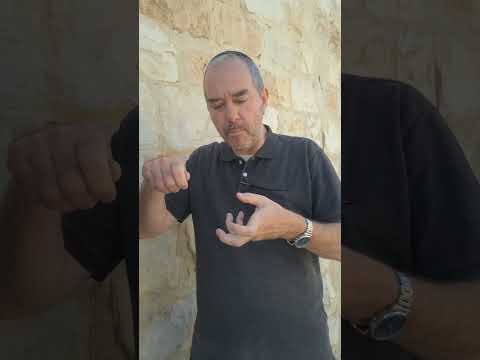 Rabbi Tzvi Shiloni - Rav at Yeshivat Netiv Aryeh - Bet Hamikdash