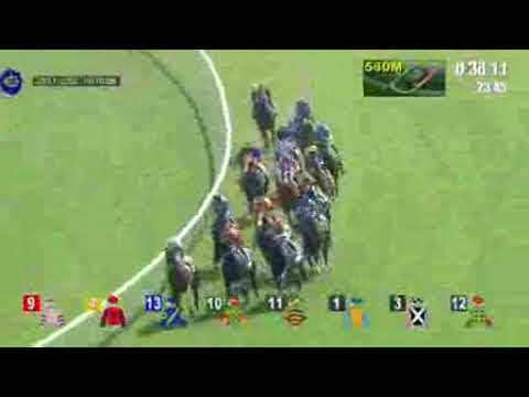 Sportwetten Prognose bringt € 182.875.—Wettgewinn in HongKong am Sonntag 20.11.2022