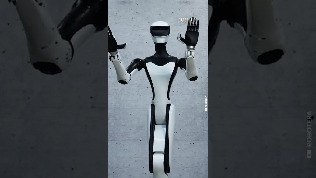 What's a Service Robot?!