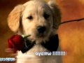 HELOO !!! 