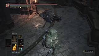 【DARK SOULS 3】ラブオニオンのタマネギだらけのわちゃわちゃカンスト攻略　#9　合言葉onion22　参加歓迎　縛り内容は概要欄ご覧下さい！