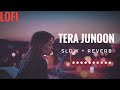 Lofi Lyrics - Tera Junoon | Jubin Nautiyaal | Slow And Reverb
