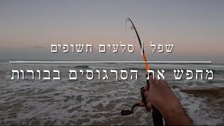 דיג - שפל וסלעים חשופים | מחפש את הסרגוסים בבורות 2025.