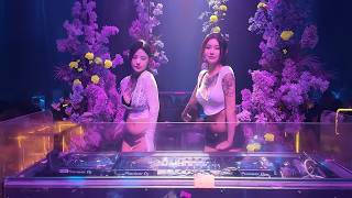 Download lagu 1 Hour | 敏姐 - 痴心换情深 (Dj花香 FunkyHouse Remix 2025) Si Tâm Hoán Tình Thâm - Mẫn Tỷ #dj抖音版2025 mp3 Download lagu 1 Hour | 敏姐 - 痴心换情深 (Dj花香 FunkyHouse Remix 2025) Si Tâm Hoán Tình Thâm - Mẫn Tỷ #dj抖音版2025 mp3