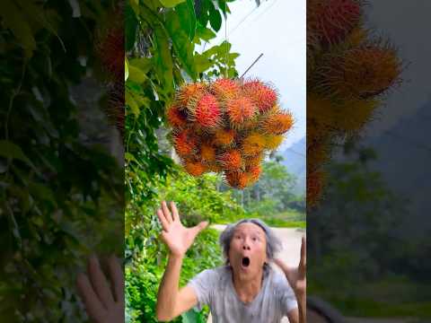 Survival Skills SMART Idea and USEFULBoiledby Mom😱#tbushcraft #camping #outdoors#usefulpart-81