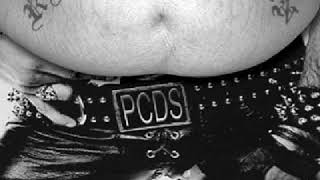 PC Deathsquad ‎– Too Fat For Love [Full Album]