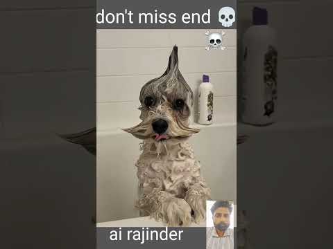 Dogs can't be SCARY 💀 ai rajinder