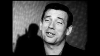 MOI J'M'EN FOUS Lyrics English Translation