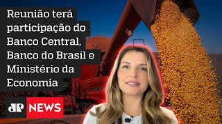 Hora H do Agro: Governo deve anunciar medidas para socorrer agricultores afetados pela seca