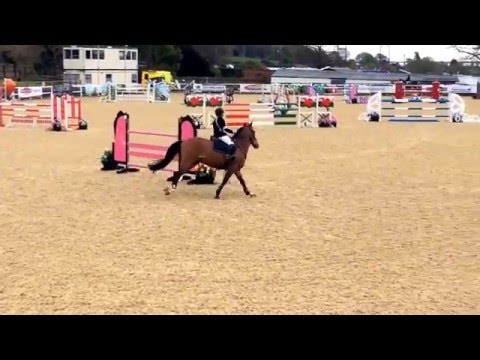 Ferrari III Parts of Chepstow international 6yr old Final 1/5/16